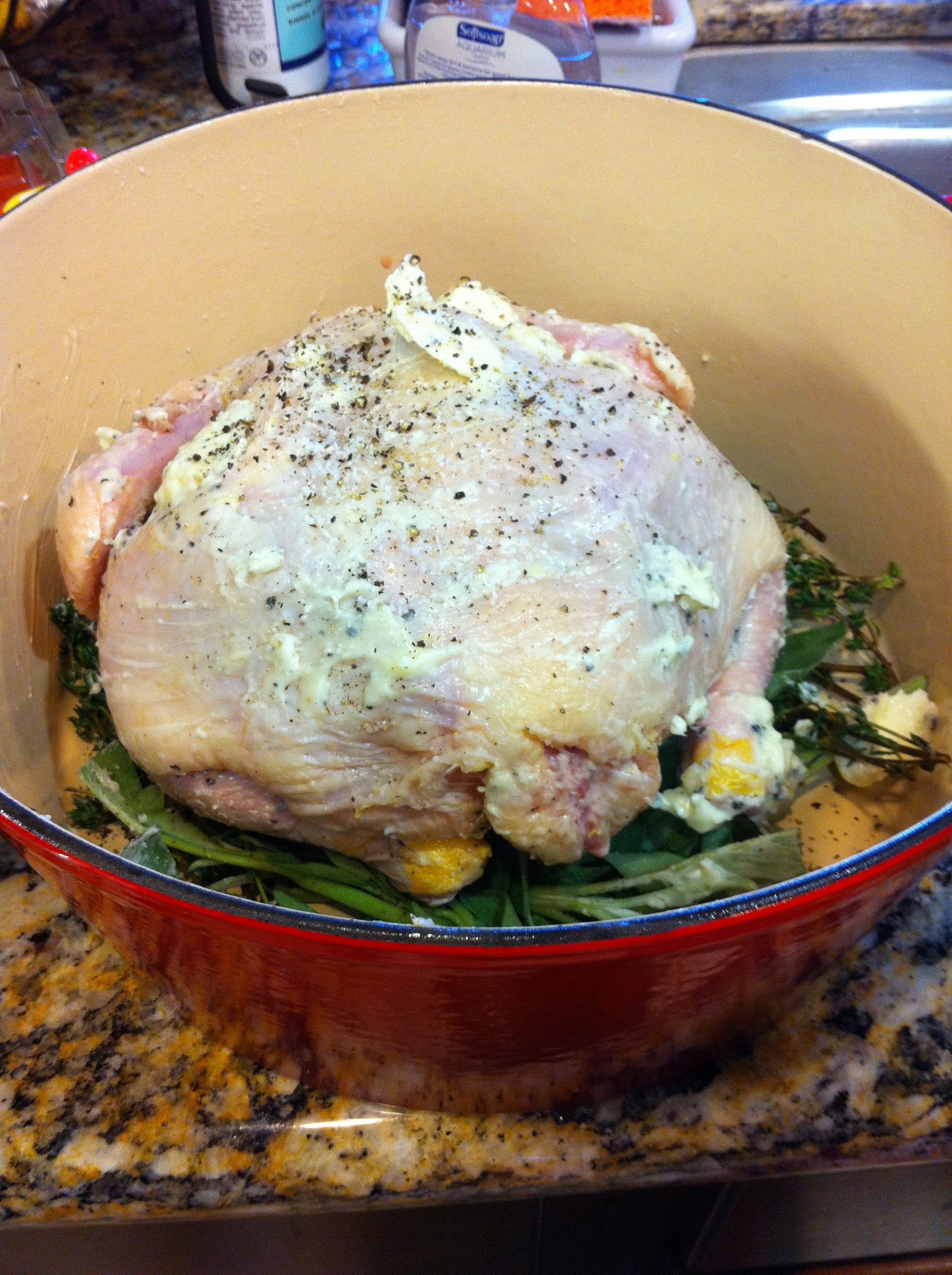 PotRoasted Chicken with Mushrooms • Hip Foodie Mom