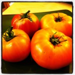 Parmesan Tuiles with Heirloom Tomato Salad