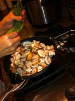 Mushroom, Tomato & Iberico Panini