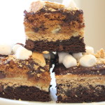 Whoa Big Daddy: Ultimate S'mores Bars!!