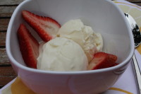 Homemade Vanilla Ice Cream & More!!