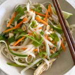 Asian Chicken Rice Noodle Salad. So delicious and flavorful and comes together in no time at all. This is the perfect summer meal!