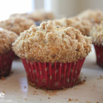 Cinnamon, Chocolate Chip & Cranberry Muffins . . . #FlyFridays