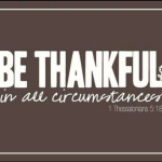 Happy Thanksgiving Everyone!