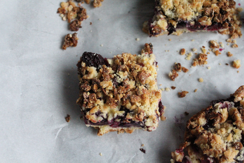 blueberry crumble granola bars solo | HipFoodieMom.com