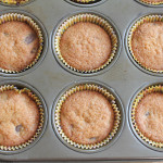 Gluten Free Chocolate Chip Muffins