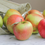 Guest Post: Apple Spice Cake from Gotta Get Baked