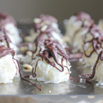Coconut Joys