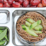 Easy Soba Noodles for Lunch, Featuring my Rover PlanetBox
