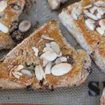 Cranberry Almond Scones
