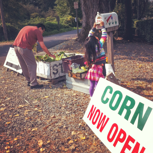 buying corn