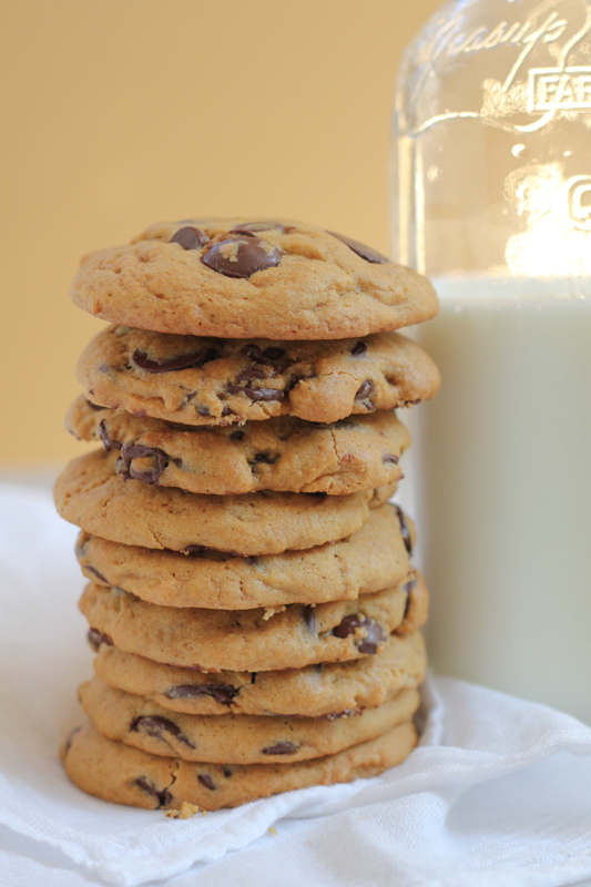 Pumpkin Peanut Butter Chocolate Chip Cookies by Hip Foodie Mom