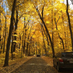 What's Happening. . . Fridays . .