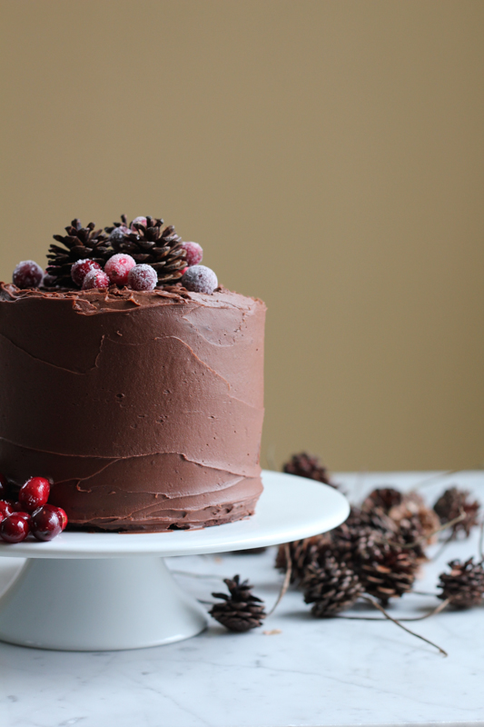 homemade chocolate cake beautifully decorated with red wine chocolate frosting