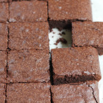 Blood Orange Brownies + A Giveaway!