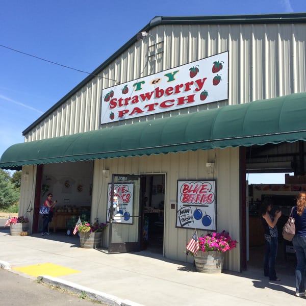 T&Y Strawberry Patch in Woodland, CA.