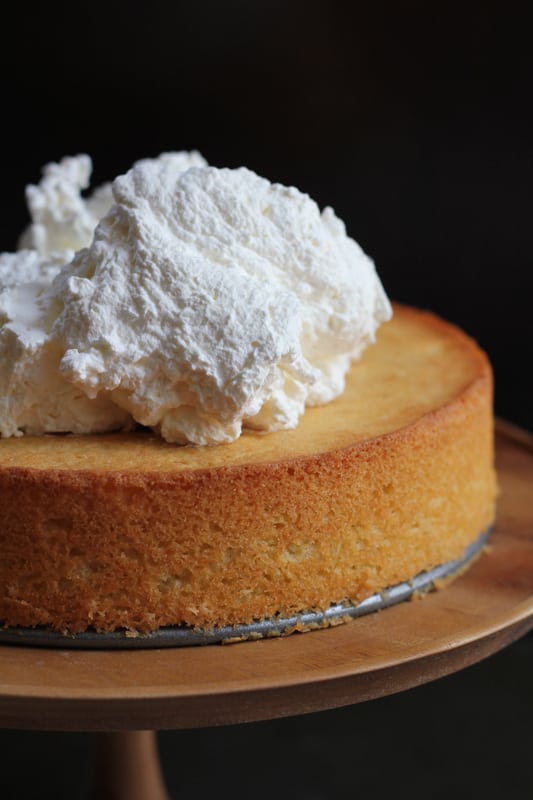 Olive Oil Honey Cake topped with whipped cream.