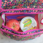 Back to School with PackIt Freezable Bags + A Giveaway!