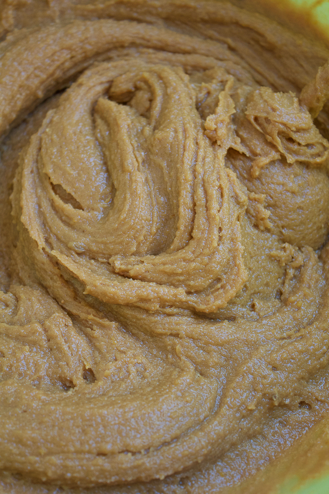 Peanut Butter Sea Salt Cookies!!! So easy to make and so delicious! You won't believe these cookies are made with only five ingredients! You have to try this recipe! These are the best peanut butter cookies ever!!!