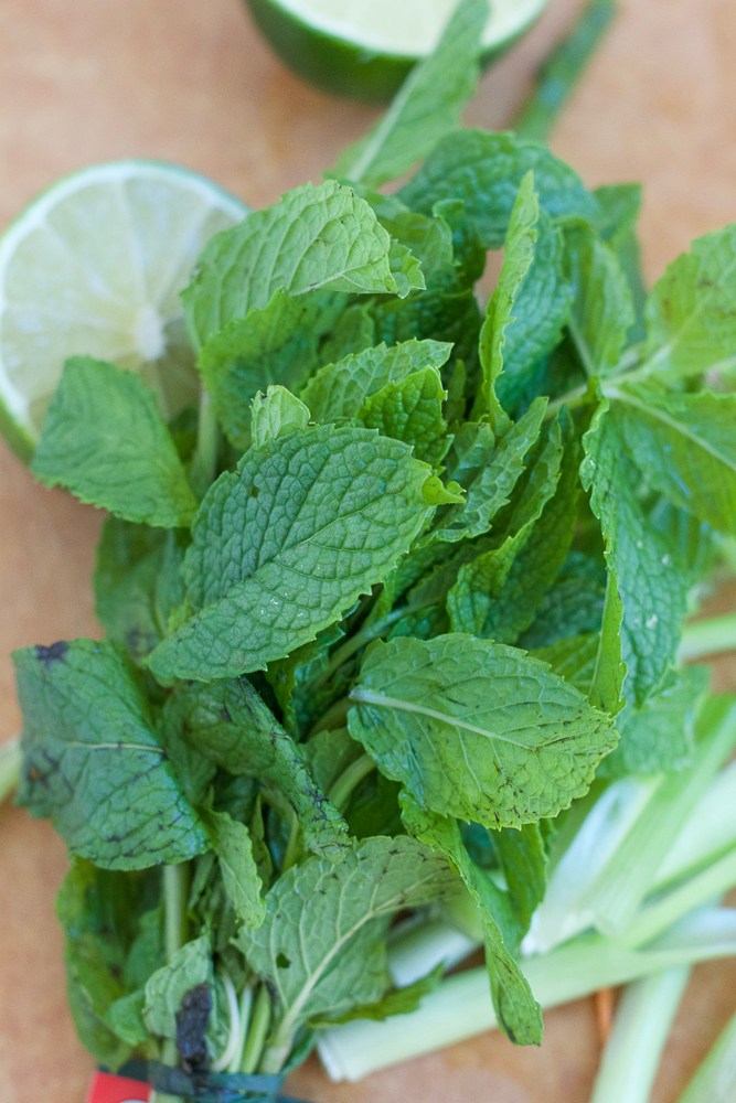 Spicy Korean Noodle Salad! Light, fresh and filled with veggies and mache rosettes! Make it spicy or non-spicy! This is the perfect summer meal and only takes about 15 minutes to make!