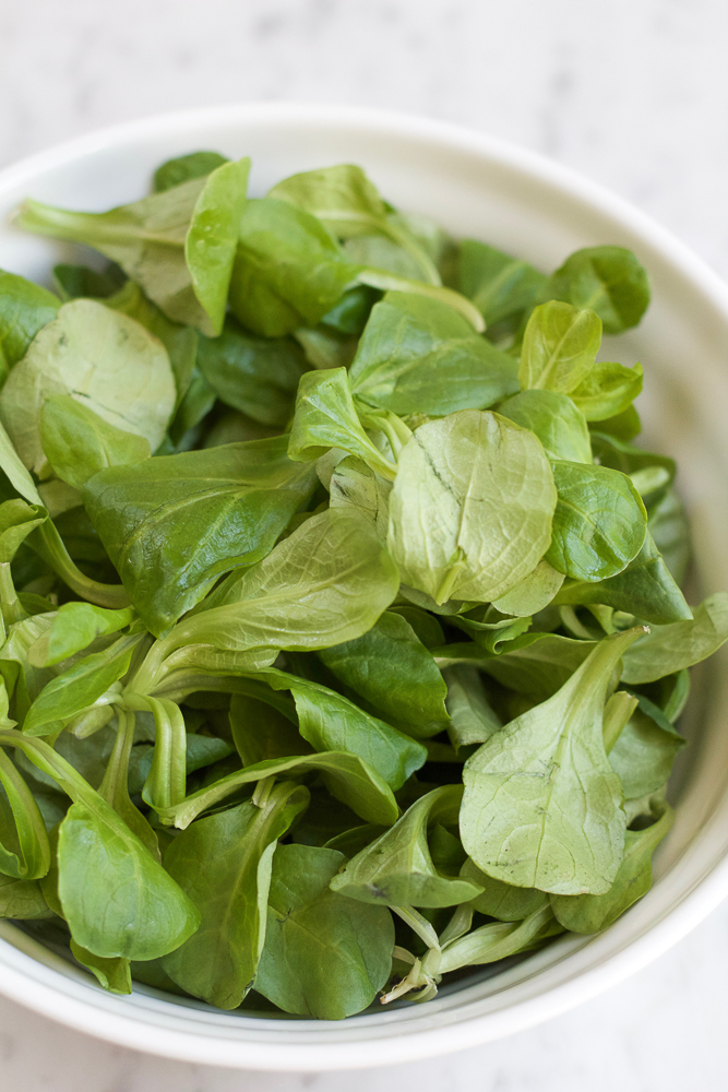 Spicy Korean Noodle Salad! Light, fresh and filled with veggies and m&acirc;che rosettes! Make it spicy or non-spicy! This is the perfect summer meal and takes less than 20 minutes to make!