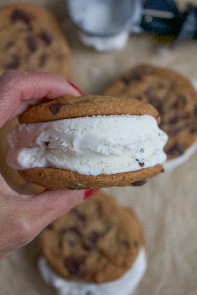 A Mint Chocolate Chip Ice Cream Sandwich being held.