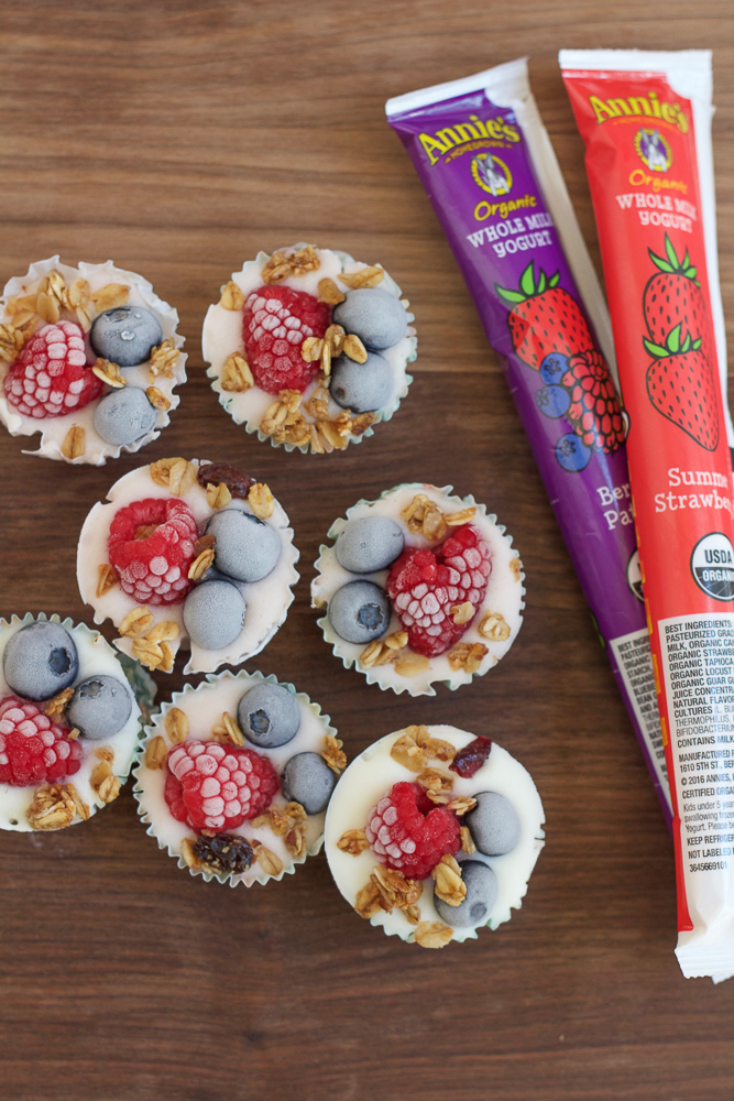Frozen Berry Yogurt Bites and yogurt tubes.