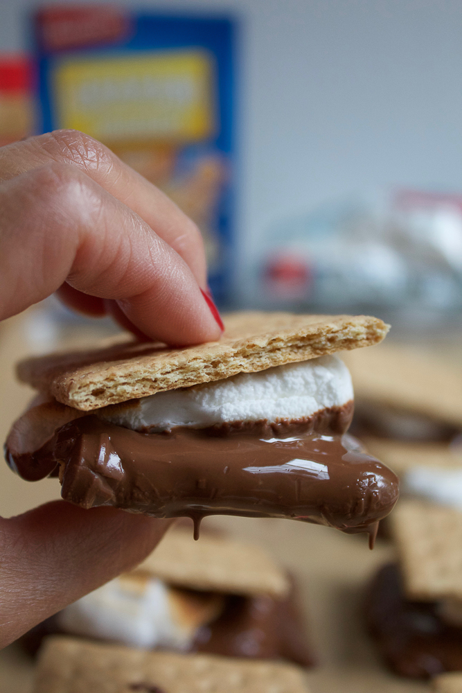 12 S'mores Recipes for National S'mores Day!!! Celebrate one of the best food holidays ever! Make s'mores at home, in your oven, at a camp fire, make s'mores brownies, cupcakes or even a s'mores mud pie! The possibilities are endless!