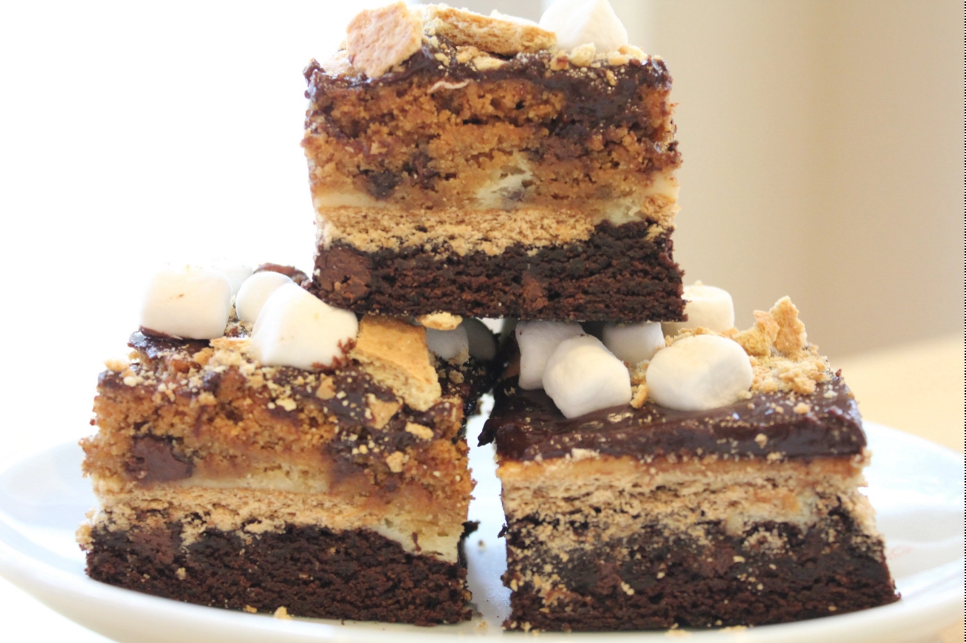 12 S'mores Recipes for National S'mores Day!!! Celebrate one of the best food holidays ever! Make s'mores at home, in your oven, at a camp fire, make s'mores brownies, cupcakes or even a s'mores mud pie! The possibilities are endless!