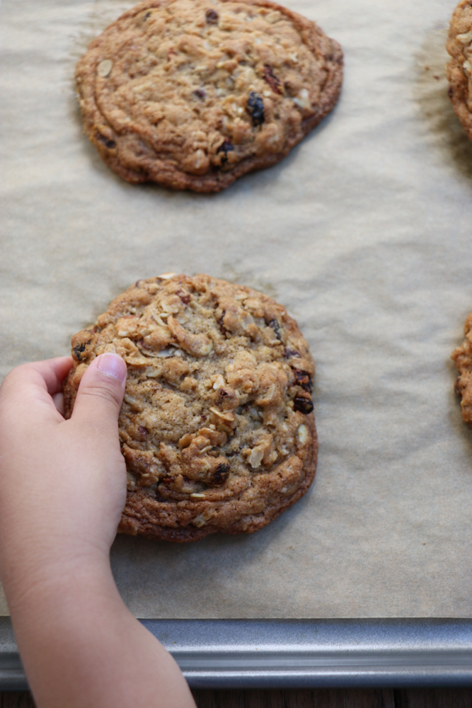 Spiced Oatmeal Cookies! Thick, chewy and packed with rolled oats, cinnamon, cardamom and more! These are a must bake for your family this holiday season!