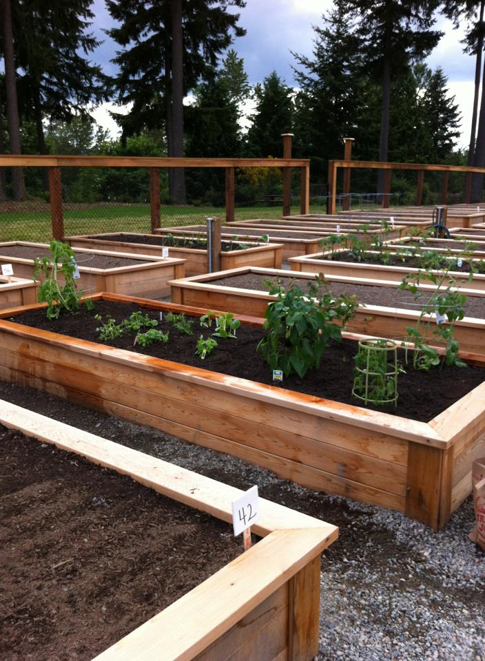 Digging in to grow some good in partnership with Mrs. Meyer's Clean Day! Learn how you can make a difference in your own community.