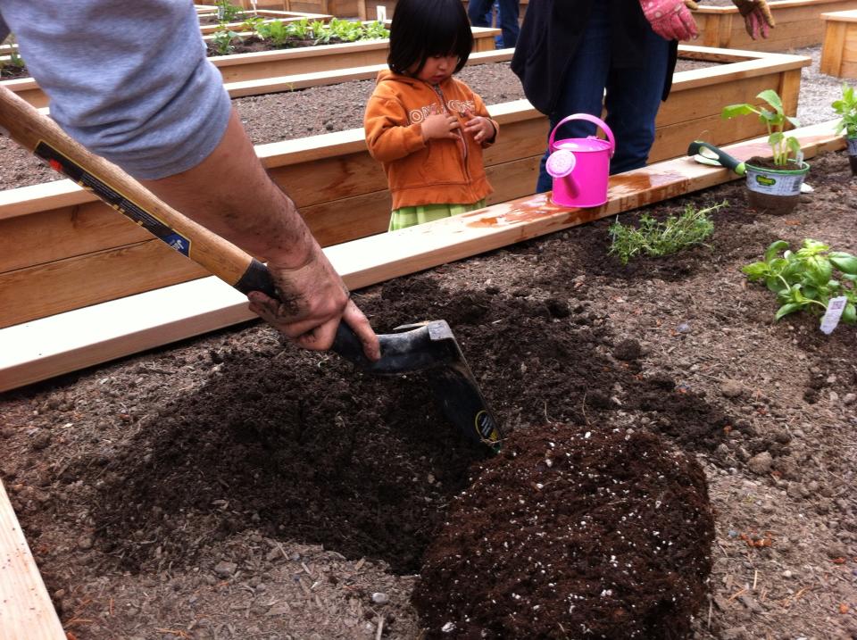 Digging in to grow some good in partnership with Mrs. Meyer's Clean Day! Learn how you can make a difference in your own community.