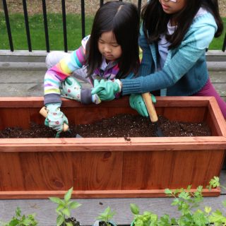 Digging in to grow some good in partnership with Mrs. Meyer's Clean Day! Learn how you can make a difference in your own community.