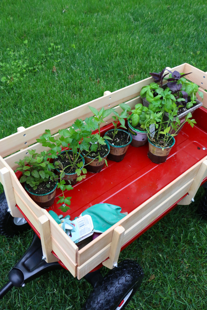 Digging in to grow some good in partnership with Mrs. Meyer's Clean Day! Learn how you can make a difference in your own community.