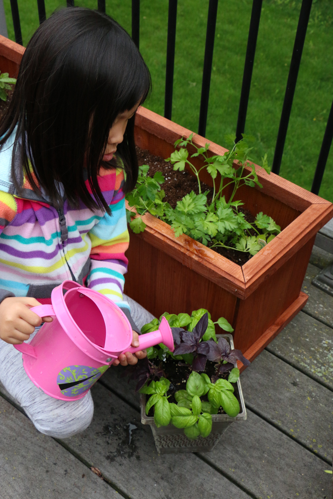 Digging in to grow some good in partnership with Mrs. Meyer's Clean Day! Learn how you can make a difference in your own community.