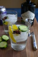 The BEST Gin and Tonic you will ever have! This one adds a fresh cucumber slice, lemon and star anise! Recipe from the AC Hotel Lounge here in Madison, Wisconsin!