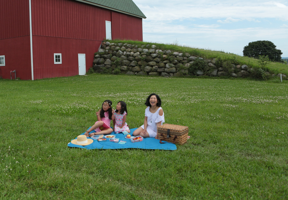 The perfect picnic! Take some time these last few weeks of summer, pack a lunch and head out with your kids! We packed our favorite pasta salad, raw veggies, fruit and my kids' favorite Wholesome Organic DelishFish candies.