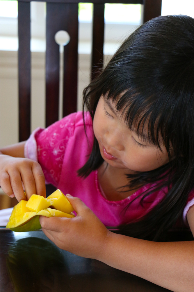 Delicious Mango Smoothie Bowl! A great way to start your morning! Packed with mangos, bananas and more! One cup of mangos provide 100% of your daily vitamin C, 35% of your daily vitamin A and 12% of your daily fiber!