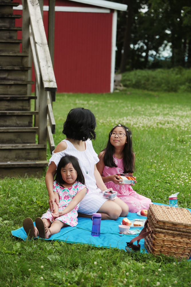 The perfect picnic! Take some time these last few weeks of summer, pack a lunch and head out with your kids! We packed our favorite pasta salad, raw veggies, fruit and my kids' favorite Wholesome Organic DelishFish candies.