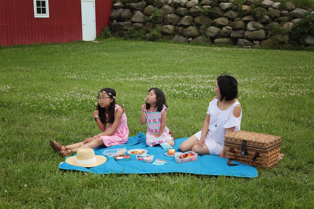 The perfect picnic! Take some time these last few weeks of summer, pack a lunch and head out with your kids! We packed our favorite pasta salad, raw veggies, fruit and my kids' favorite Wholesome Organic DelishFish candies.
