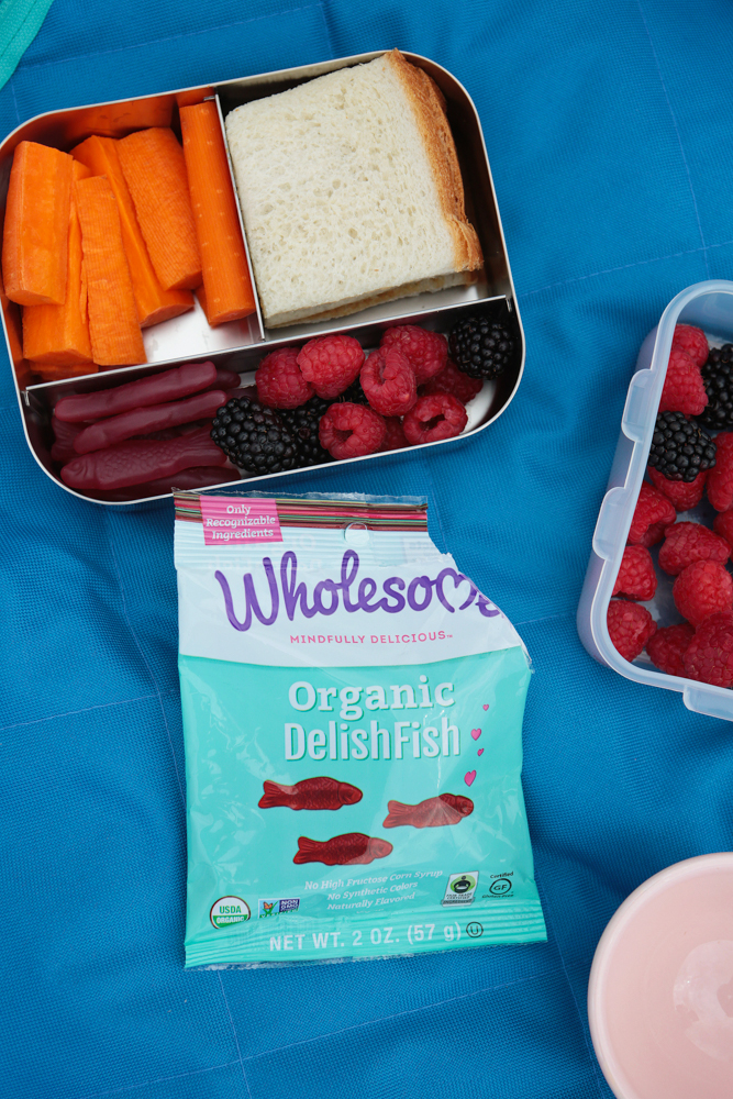 The perfect picnic! Take some time these last few weeks of summer, pack a lunch and head out with your kids! We packed our favorite pasta salad, raw veggies, fruit and my kids' favorite Wholesome Organic DelishFish candies.