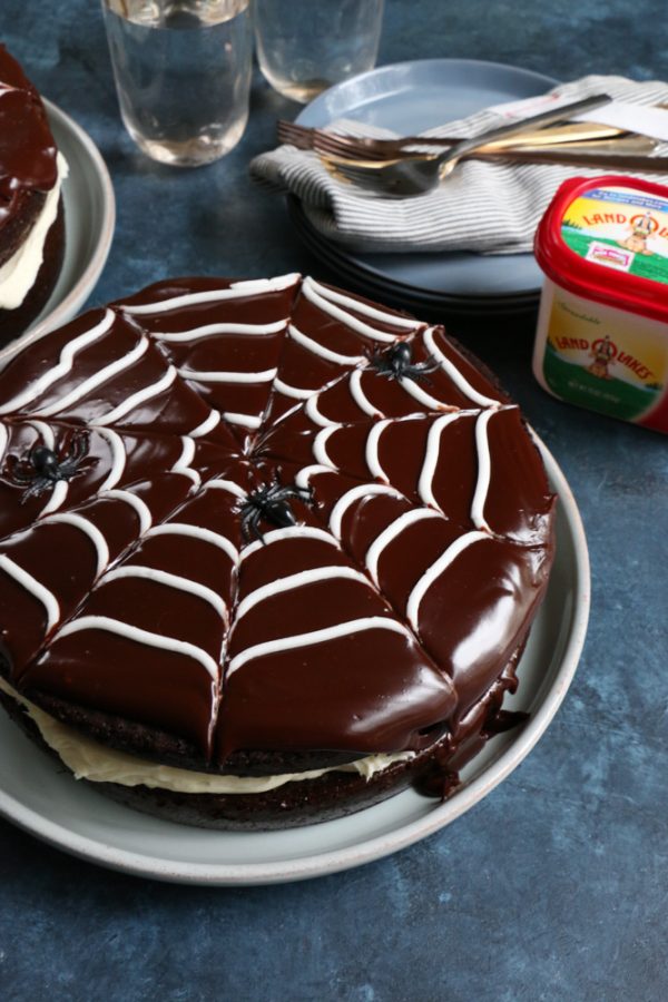Double Chocolate Spider Web Cake + A Video! • Hip Foodie Mom