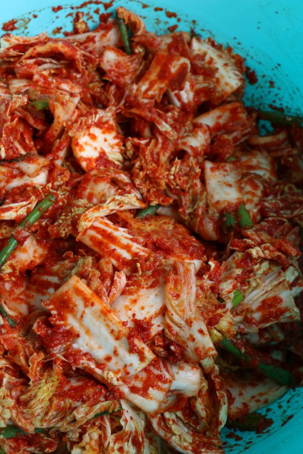 making a homemade kimchi recipe