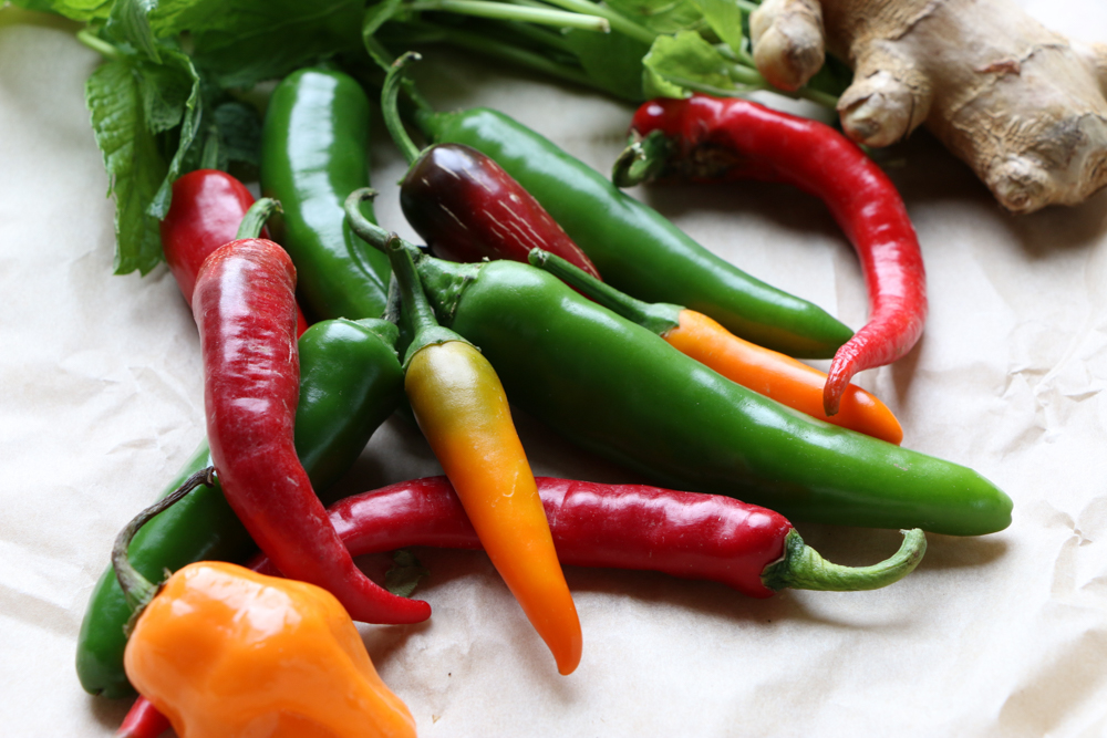 Coconut Shrimp Curry served over jasmine rice. Flavorful, delicious and with just the right amount of heat. You can also use this for chicken or veggies! You are going to love this!