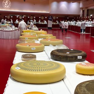 World Championship Cheese Contest in Madison, Wisconsin! With over 3,667 entries from around the world, this was such an amazing contest!