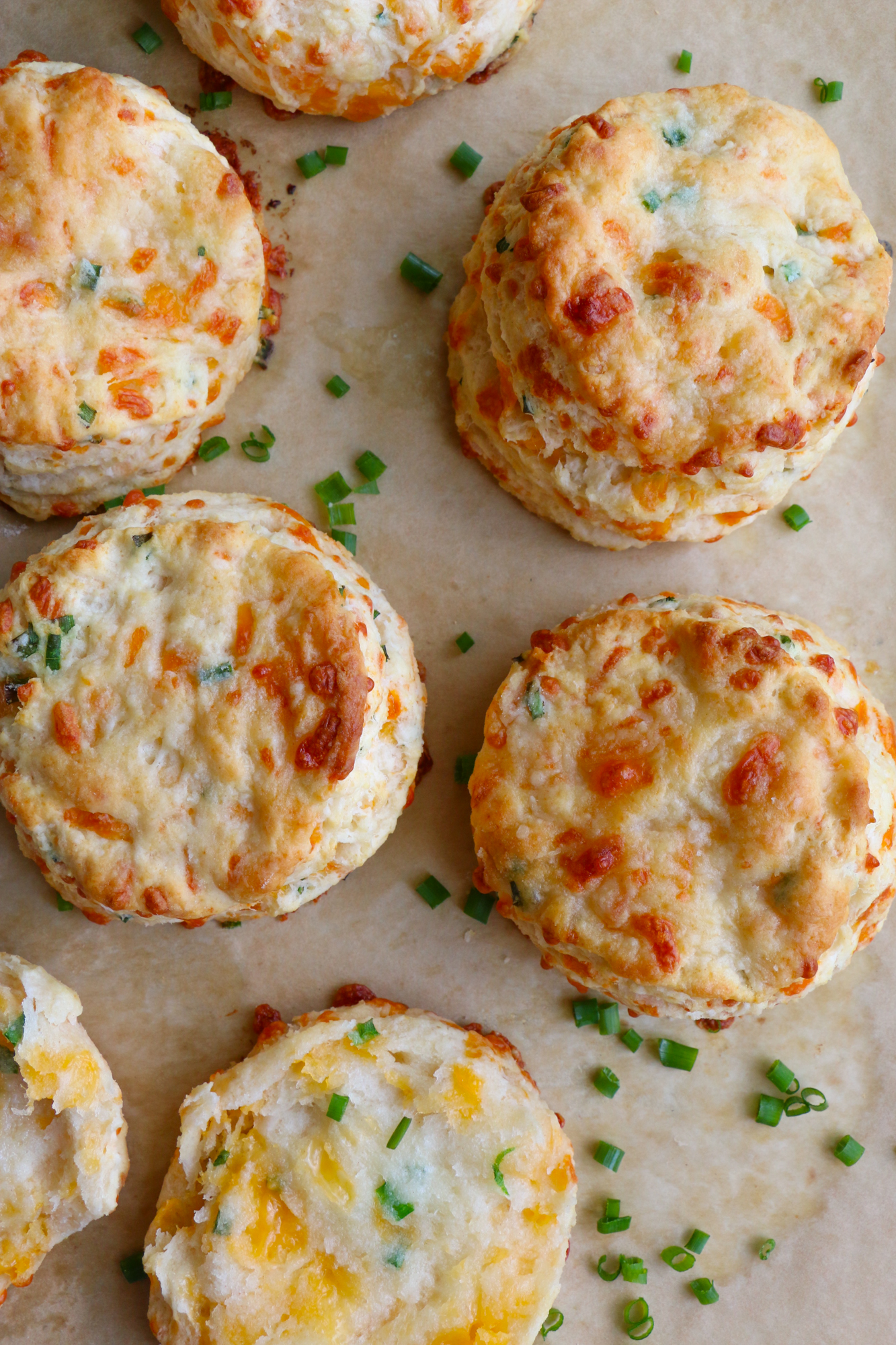 cheddar biscuits