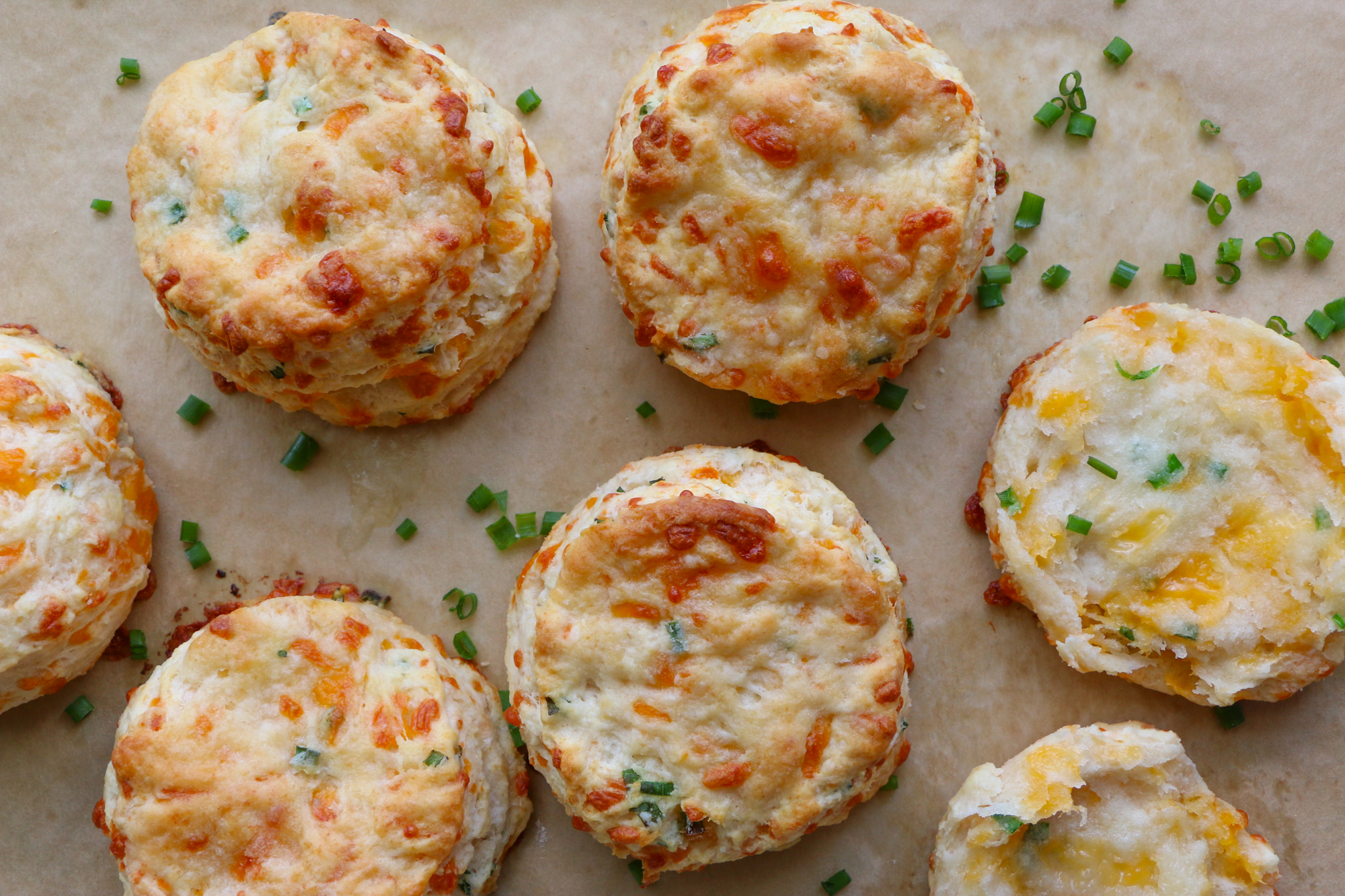 cheddar biscuits