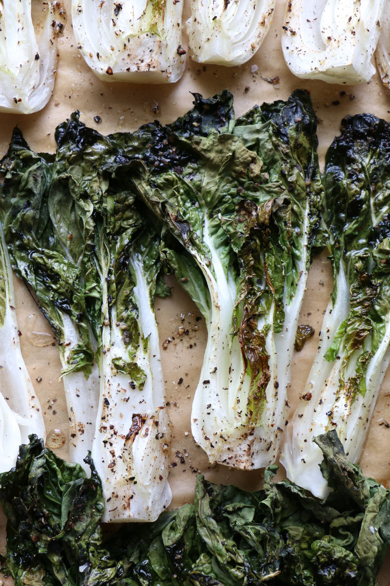 bok choy