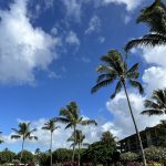 Kauai South Shore Travel Guide